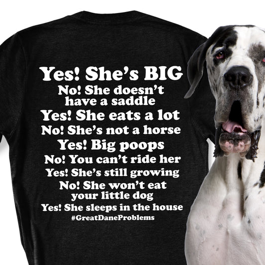 Funny Great Dane Comments T-Shirt