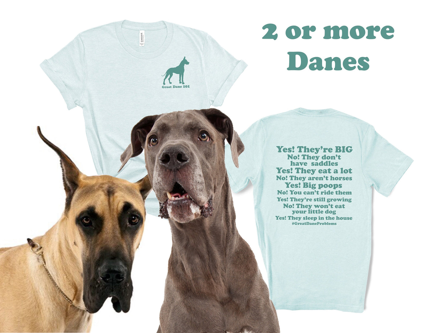 Funny Great Dane Comments T-Shirt