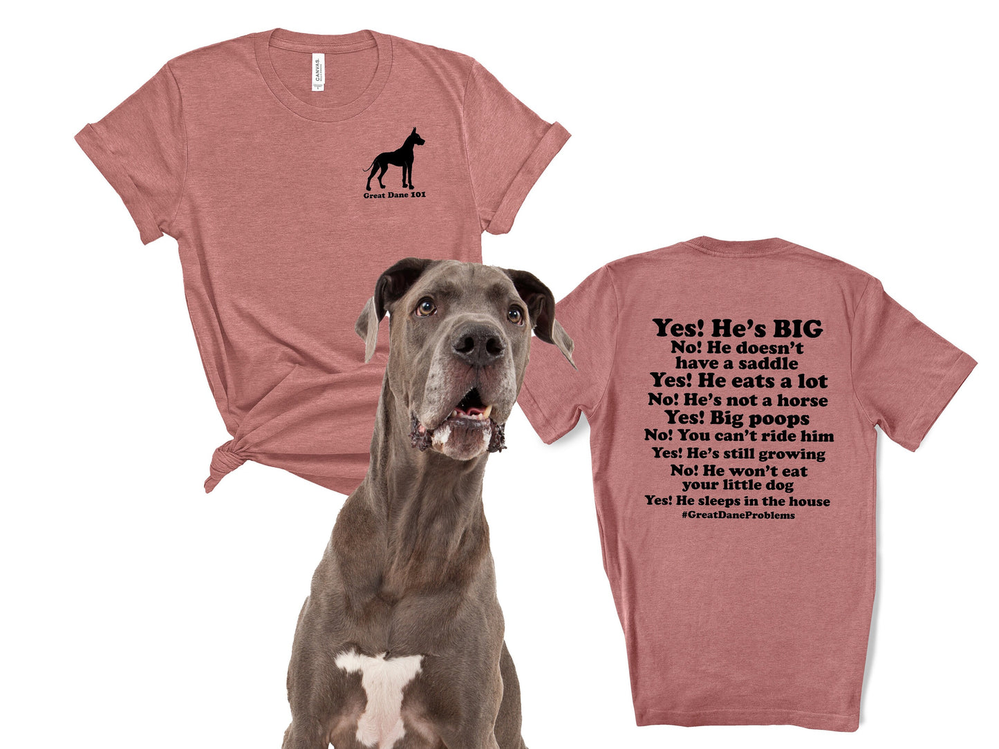 Funny Great Dane Comments T-Shirt